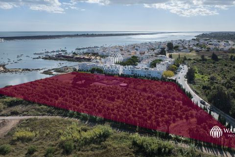 Farm i Tavira, Faro, Tavira - € 2.500.000 | Ref: QuintaRiaFormos - foto 11